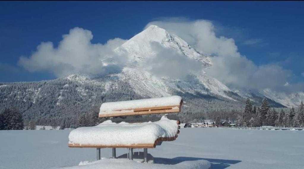 Alpenchalet Im Leutaschtal Exteriör bild