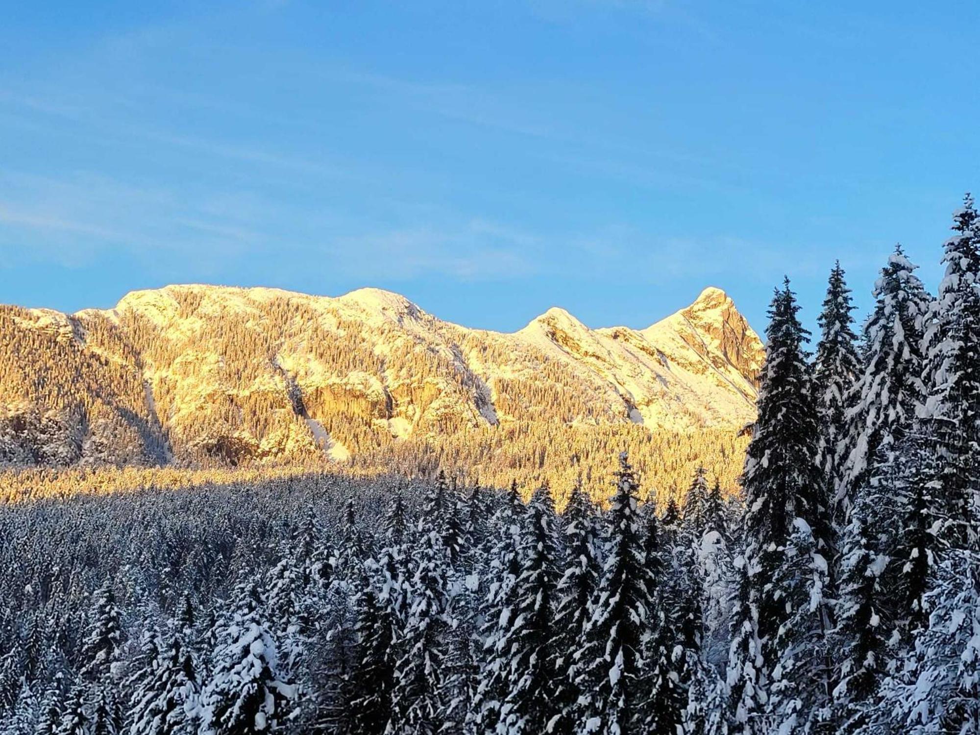Alpenchalet Im Leutaschtal Exteriör bild